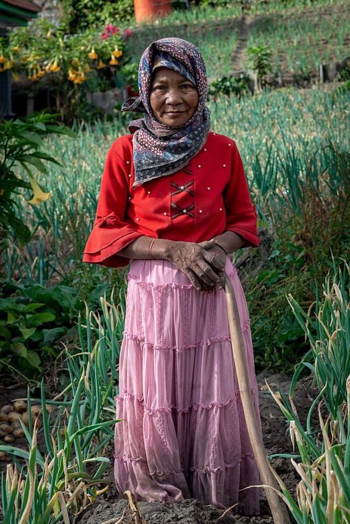Portrait of an Indonesian peasant woman harvesting potatoes and spring onions.