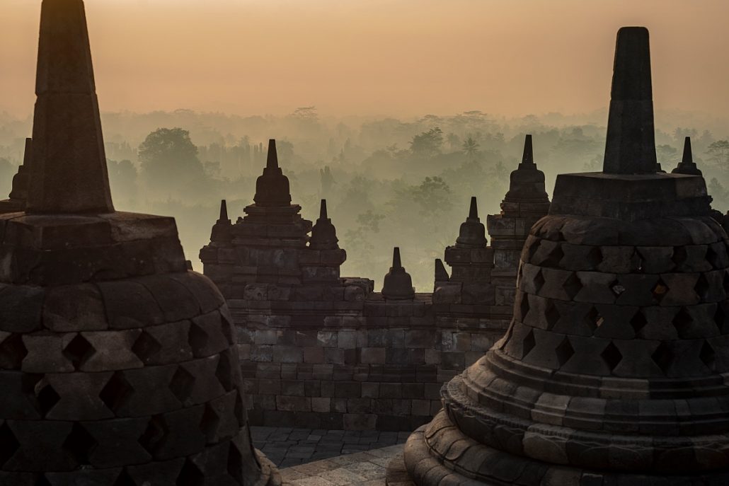 Landscape shot of stupas in the morning light in front of a forest.