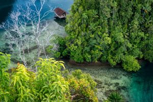 Landscape shot of a fisherman's hut in a tropical bay surrounded by jungle.
