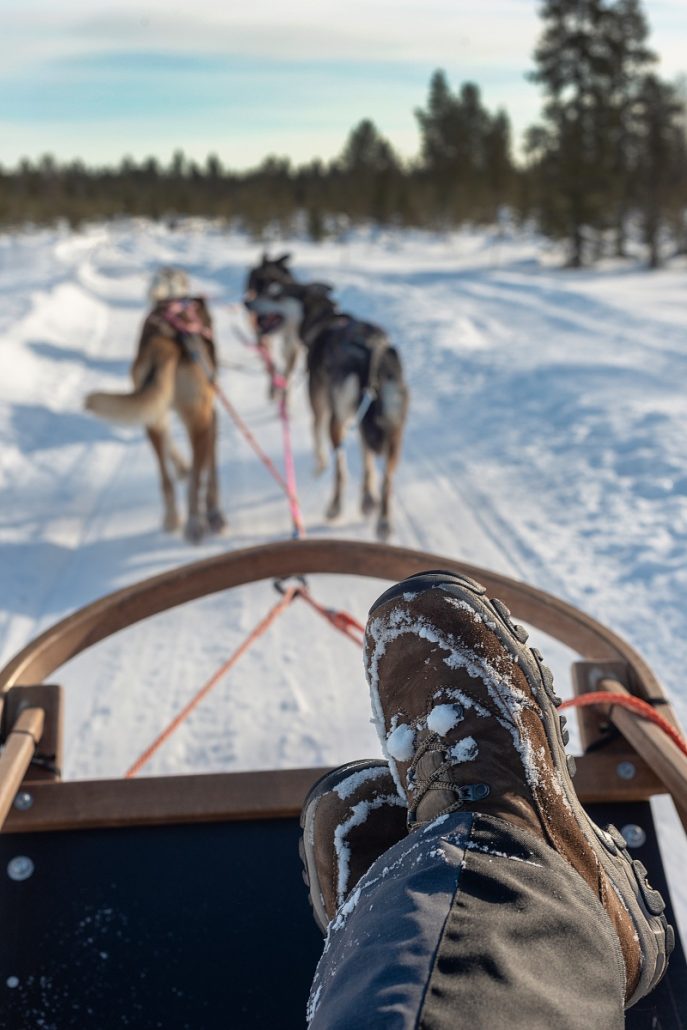 Close-up of rolled over shoes on a dog sled pulled by huskies of the snowy landscape of Finland.