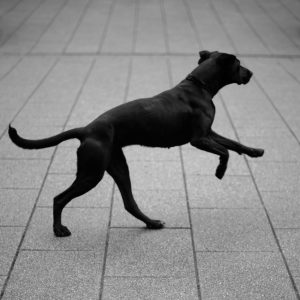 Photographed by Philippe Gueib featured by dudewithcamera