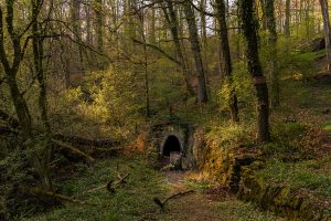 Photographed by Nicola Stollenwerk featured by dudewithcamera