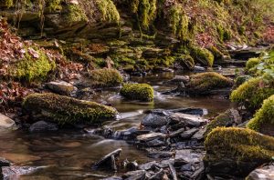 Photographed by Nicola Stollenwerk featured by dudewithcamera