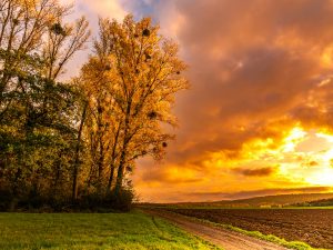 Photographed by Nicola Stollenwerk featured by dudewithcamera