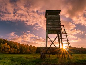 Photographed by Nicola Stollenwerk featured by dudewithcamera