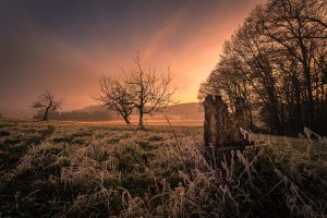 Photographed by Nicola Stollenwerk featured by dudewithcamera