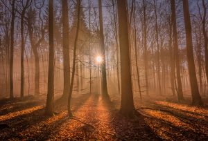 Photographed by Nicola Stollenwerk featured by dudewithcamera