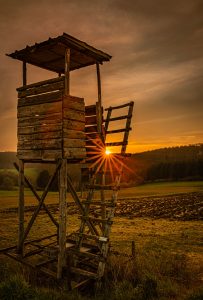 Photographed by Nicola Stollenwerk featured by dudewithcamera