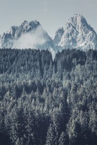 Photographed by Thomas Wultschner featured by dudewithcamera