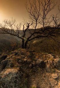 Photographed by Nicola Stollenwerk featured by dudewithcamera