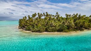Aerial view of a tropical island with palms.