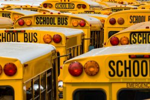 Urban close-up of many, yellow school buses.