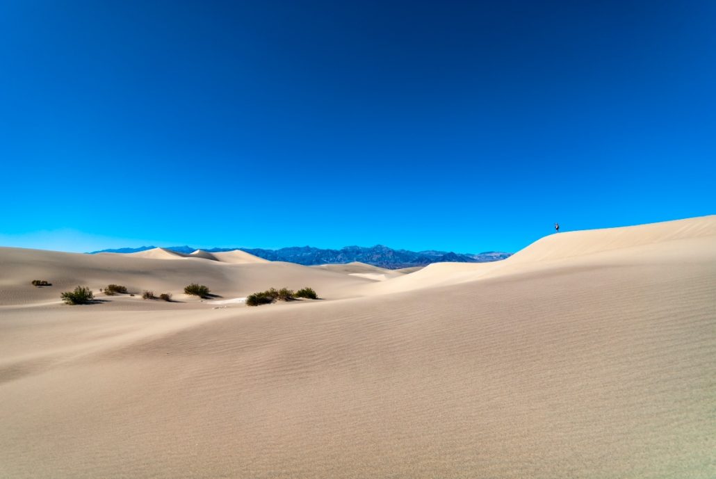 Landscape shot of sand dunes in front of a mountain range.