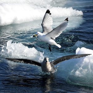 Photographed by Germaine Nassal featured by dudewithcamera