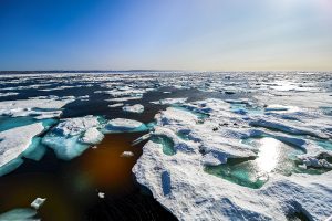 Photographed by Germaine Nassal featured by dudewithcamera