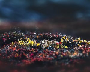 Photographed by Germaine Nassal featured by dudewithcamera