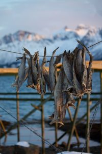 Photographed by Iris Springer featured by dudewithcamera