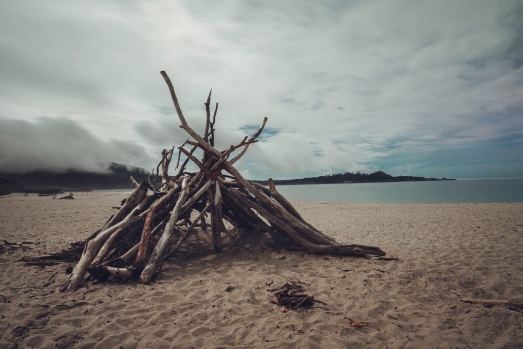 Landscape shot of a beach with a driftwood tent.
