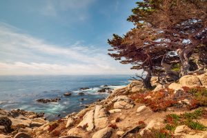 Landscape shot of a stony coast with cypresses.