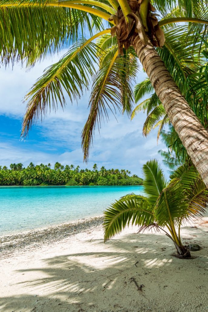 Landscape shot of a tropical beach with palm trees.