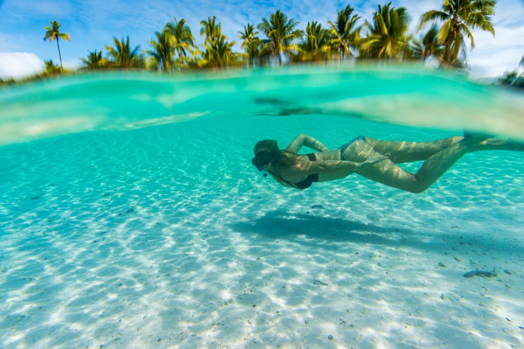 Underwater split photo of a woman snorkeling in front of palm trees.