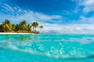 Underwater landscape split photo of an island with palms.