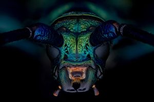 Photographed by Thorben Danke featured by dudewithcamera