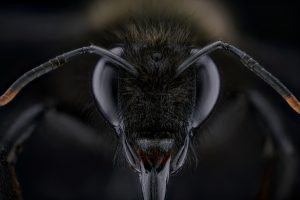 Photographed by Thorben Danke featured by dudewithcamera