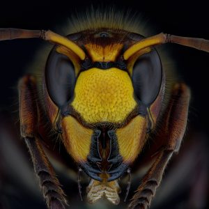 Photographed by Thorben Danke featured by dudewithcamera