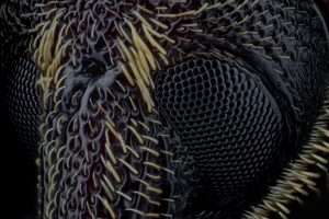 Photographed by Thorben Danke featured by dudewithcamera