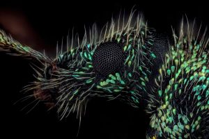 Photographed by Thorben Danke featured by dudewithcamera