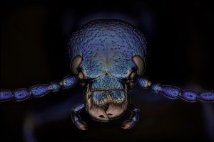 Photographed by Thorben Danke featured by dudewithcamera