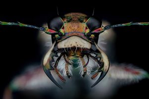 Photographed by Thorben Danke featured by dudewithcamera