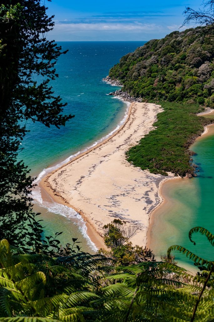 Landscape shot of a bay with beach surrounded by lush green vegetation.