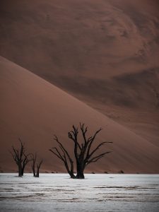 Photographed by Jan-Erik Saß featured by dudewithcamera