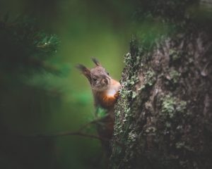 Photographed by Frederikke Jensen featured by dudewithcamera