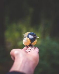 Photographed by Frederikke Jensen featured by dudewithcamera