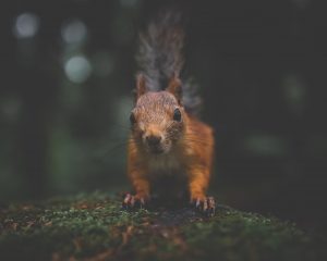 Photographed by Frederikke Jensen featured by dudewithcamera