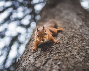 Photographed by Frederikke Jensen featured by dudewithcamera